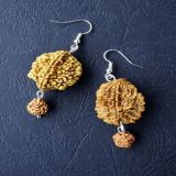 Rudrakša sa 2 i 5 lica, minđuše